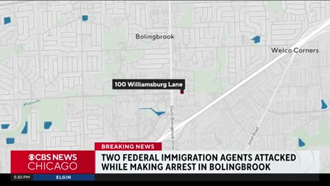 Federal immigration agents attacked by 2 women in Chicago suburb, cops say