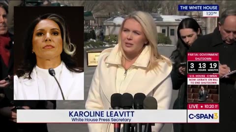 President Trump has chosen TULSI GABBARD to oversee voter fraud and election security