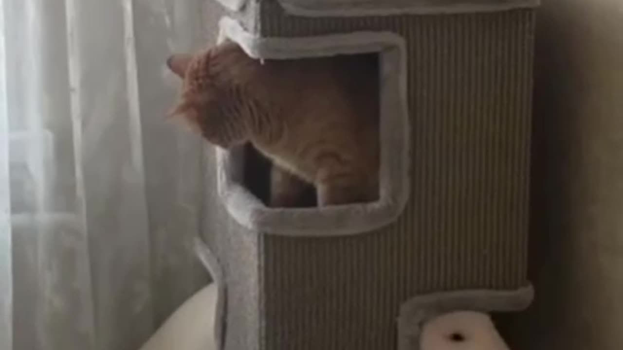 Nice house you got there 🤣