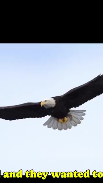 🔥🤯🔥Since the 1930's, How Hollywood Gave America’s Symbol a Fake Scream