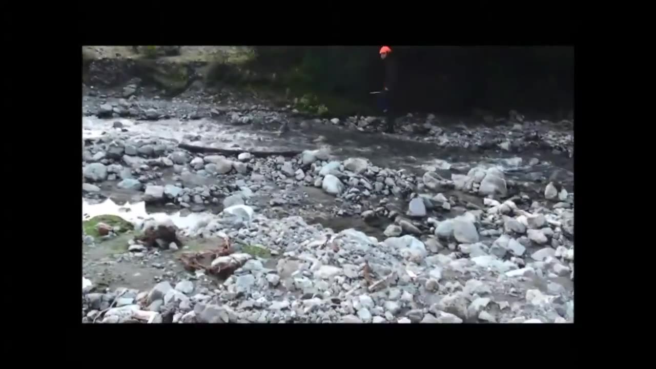 Hind shot in creek on evening