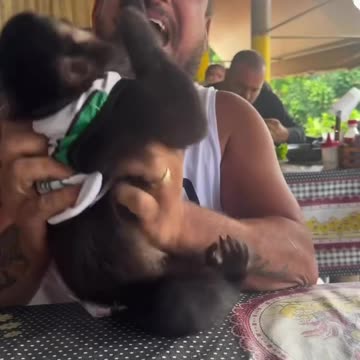 Stop it that tickles 🤣