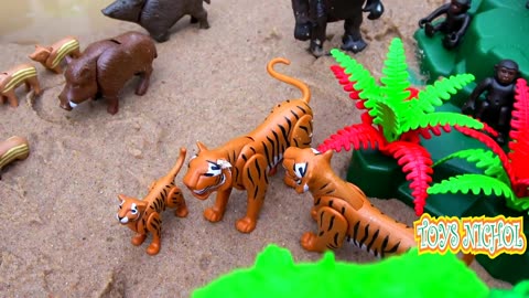 Brown Bear Hunting Fish in Fast Flowing River with Flamengo
