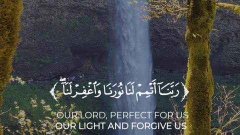 🔥 Surah At-Taḥrīm 66:8 — سورة التحريم⚡🤍#Quran #shorts #love #viral #youtubeshorts #trending #foryou