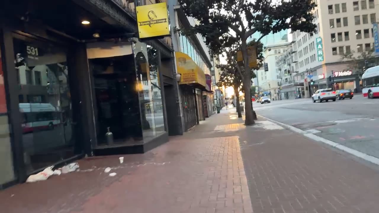 Strange Petitions in Public+ IRL