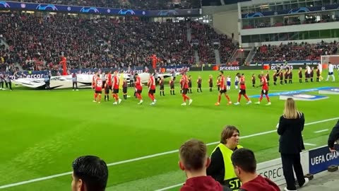 Bayer 04 Leverkusen & FC Porto (UEFA Champions League)