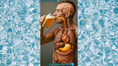 WHAT HAPPEN WHILE YOU DRINKING BEER 🍺 INSIDE HUMAN BODY