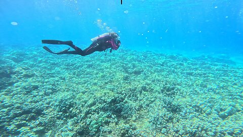 Maui Fun July 15th-16th, 2025