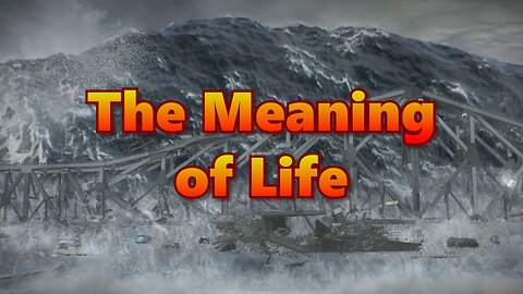 The Meaning of Life