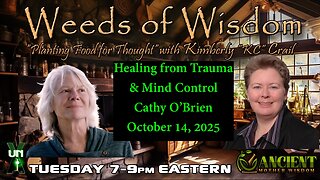 Healing from Trauma and Mind Control with Cathy O'Brien