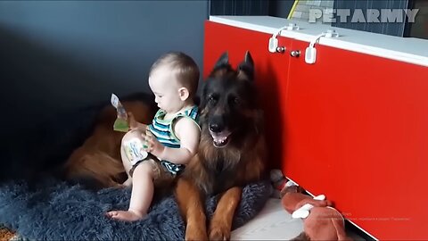 Baby and Dog Best Friend Moments That’ll Melt Your Heart