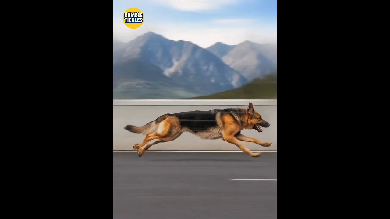 Fastest Dogs: From German Shepherds to Greyhounds!