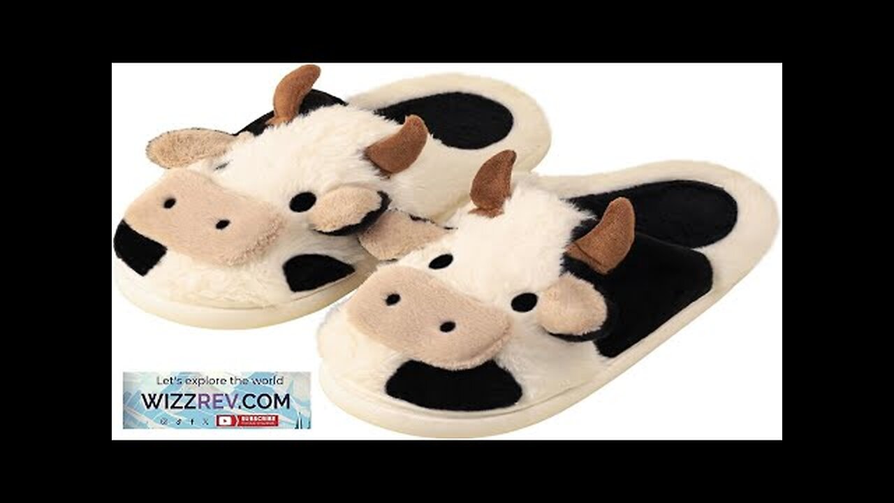 Gaolinci Cartoon Cow Cotton Slippers Winter Indoor Outdoor Slippers for Women Review