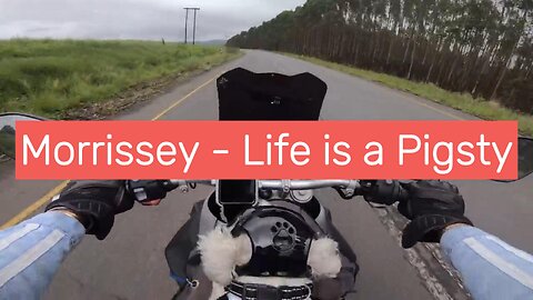 Morrissey - Life is a Pigsty