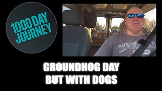 1000 Day Journey 0811 Groundhog Day but with Dogs