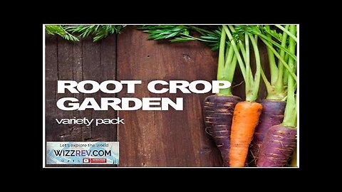 All-in-One Root Crop Garden Variety Pack – Seeds Review