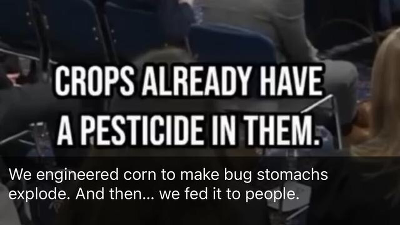 GMO corn makes bugs stomach explode what’s it doing to your stomach