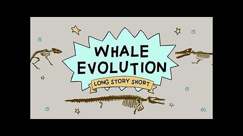 Whale Evolution: Good Evidence for Darwin?