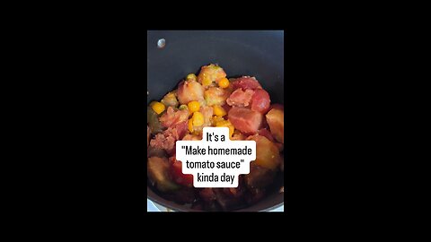Homemade Tomato Sauce 🍅