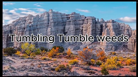 Tumbling tumbleweeds