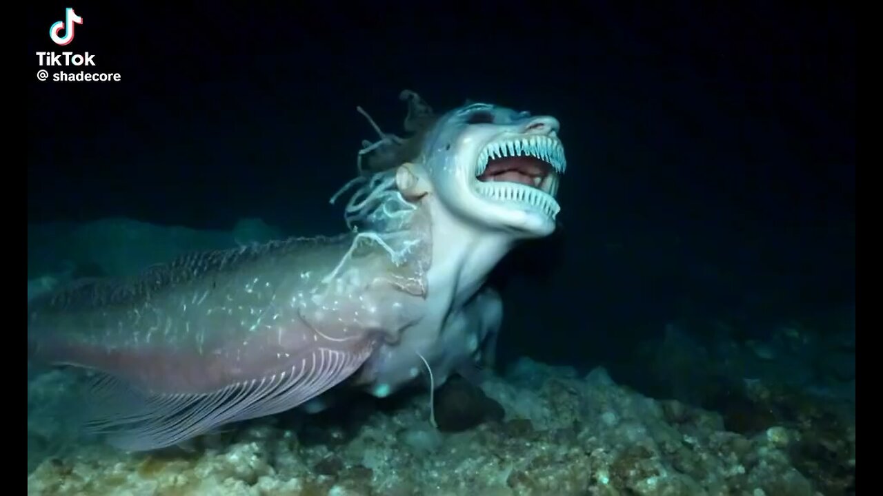 Paranormale