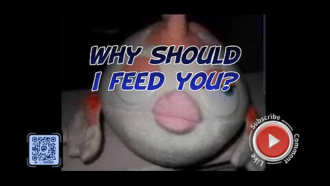 Why should I feed you?