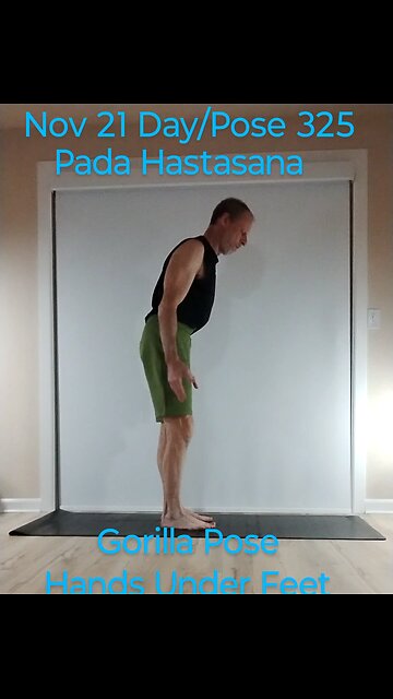 Pada Hastasana / Gorilla Pose / Feet Under Hands