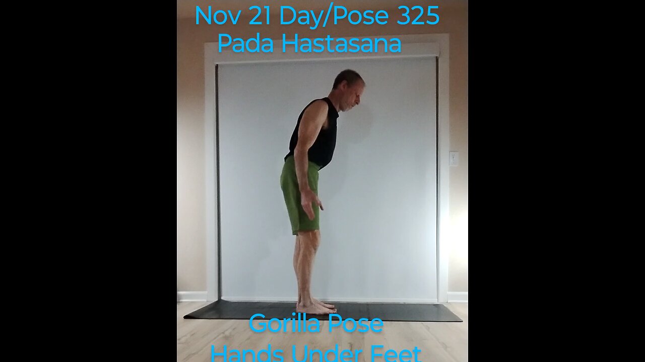 Pada Hastasana / Gorilla Pose / Feet Under Hands