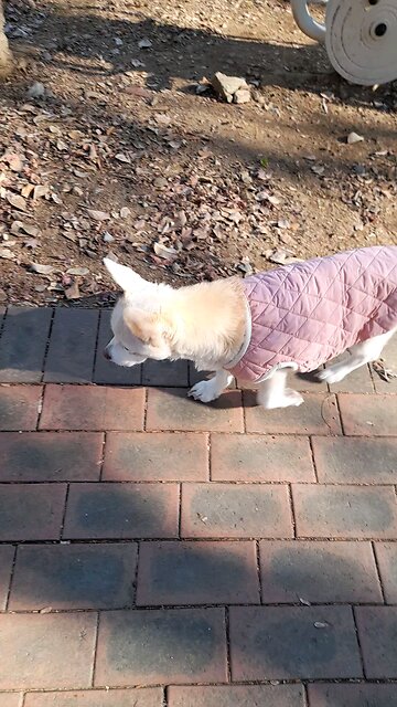 20251221. God made the world.