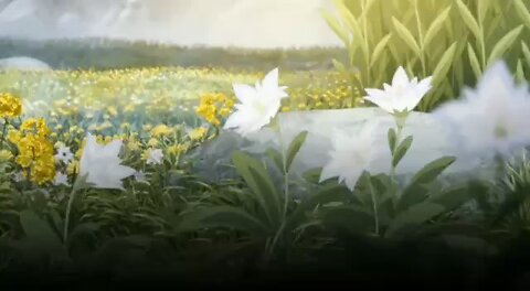 #القرآن_الكريم