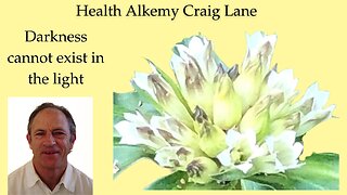 MasterMind Health Personal Alkemy - Germ Theory Proved Wrong, Pellagra