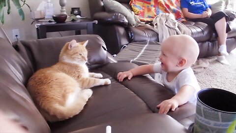 "🐱👶 Baby and Cat Fun – Cutest & Funniest Moments! 😂🎥"