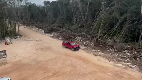 Guaraná ..... avance del desarrollo