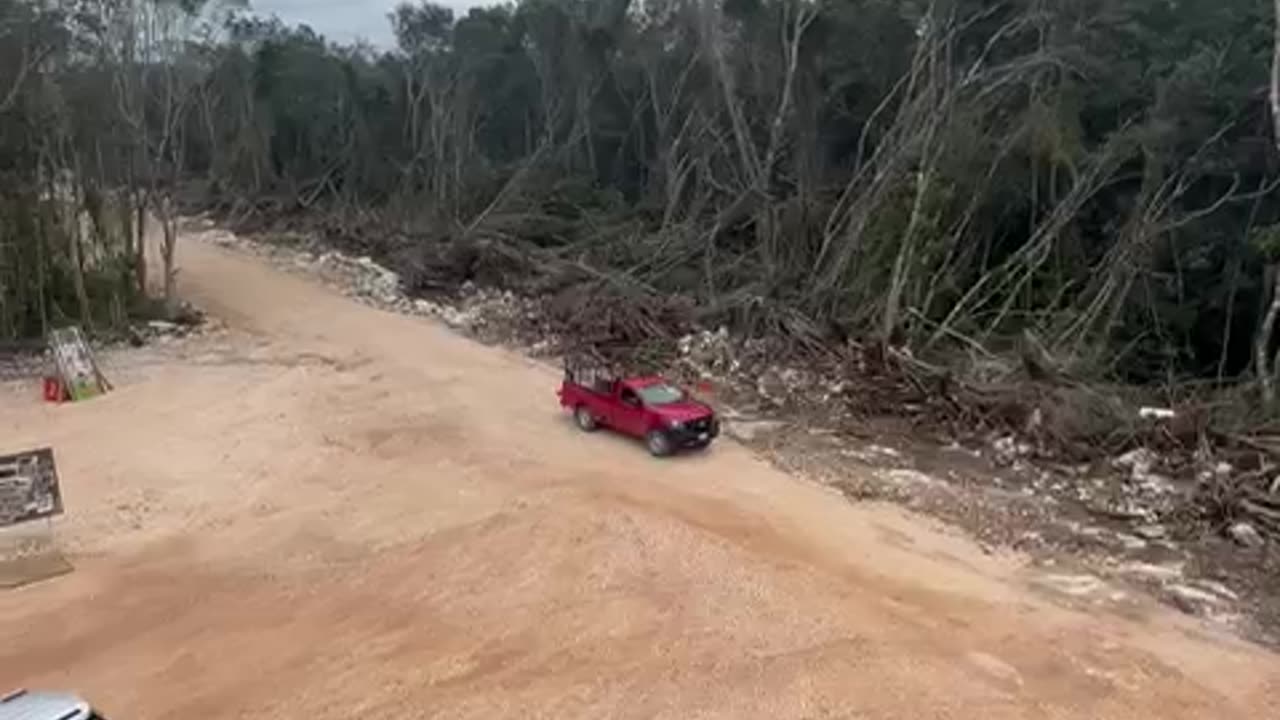 Guaraná ..... avance del desarrollo