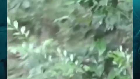 😱👻 Poltergeist Activity Caught on Camera! | TheHauntingHour