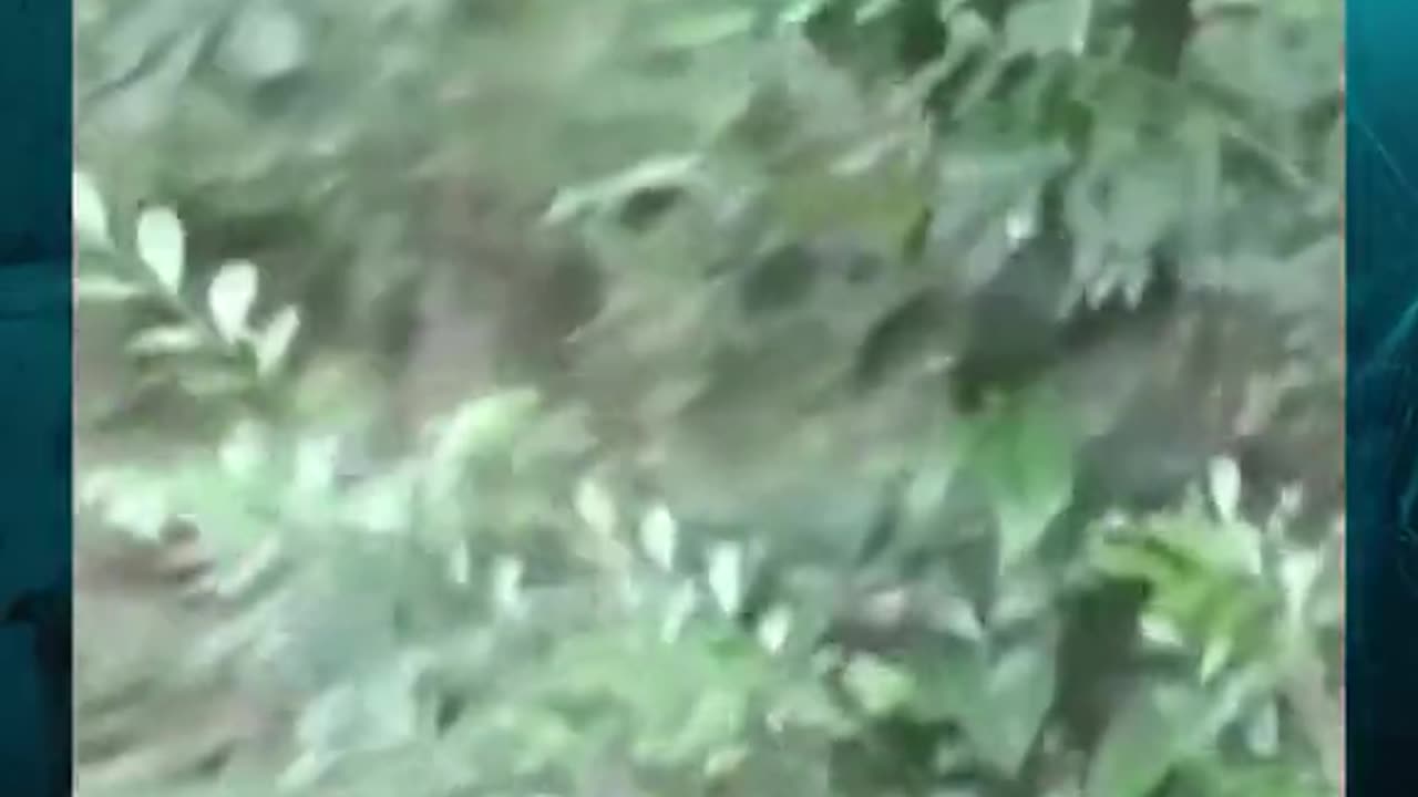 😱👻 Poltergeist Activity Caught on Camera! | TheHauntingHour