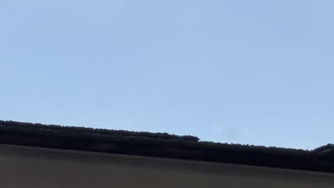 👽🤯 What IS This Bizarre Object Caught on Camera?! | TheTruthAbove