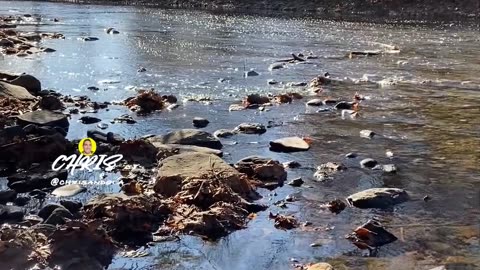 PEACEFUL RIVER CROSSING!