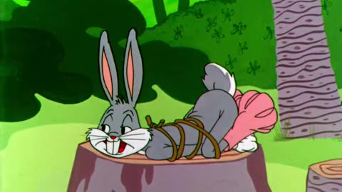 Looney Tunes Golden Collection S1957E06 Bedevilled Rabbit