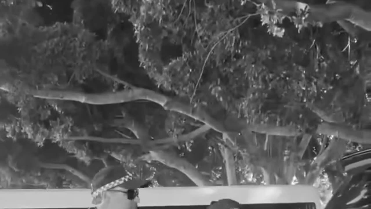 Aussie Cops at Work...