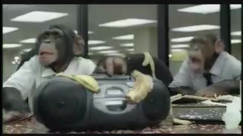 Skip the sales presentations