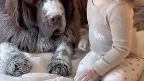 Kids Playing with Dogs and Cats | Cute Baby & Pet Friendship Moments 🐶🐱