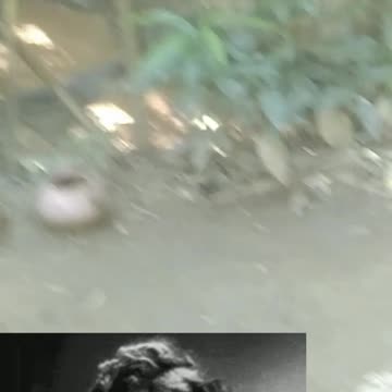 Look at the cat and smile.