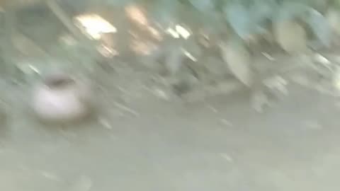 Look at the cat and smile.