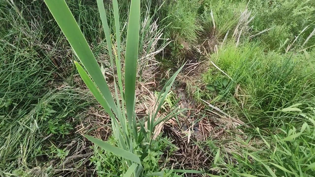 July 23, 2025 - Pulling Traps, Something Is Fishy...