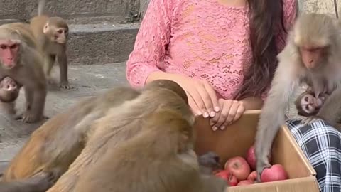 Beautiful indian girl feeding monkeys