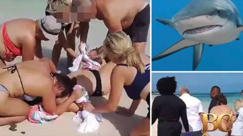 Bull shark bites off both hands of woman on beach ‘after she tried to take its picture’