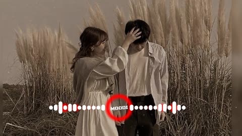 The whole world says "I love you" Song