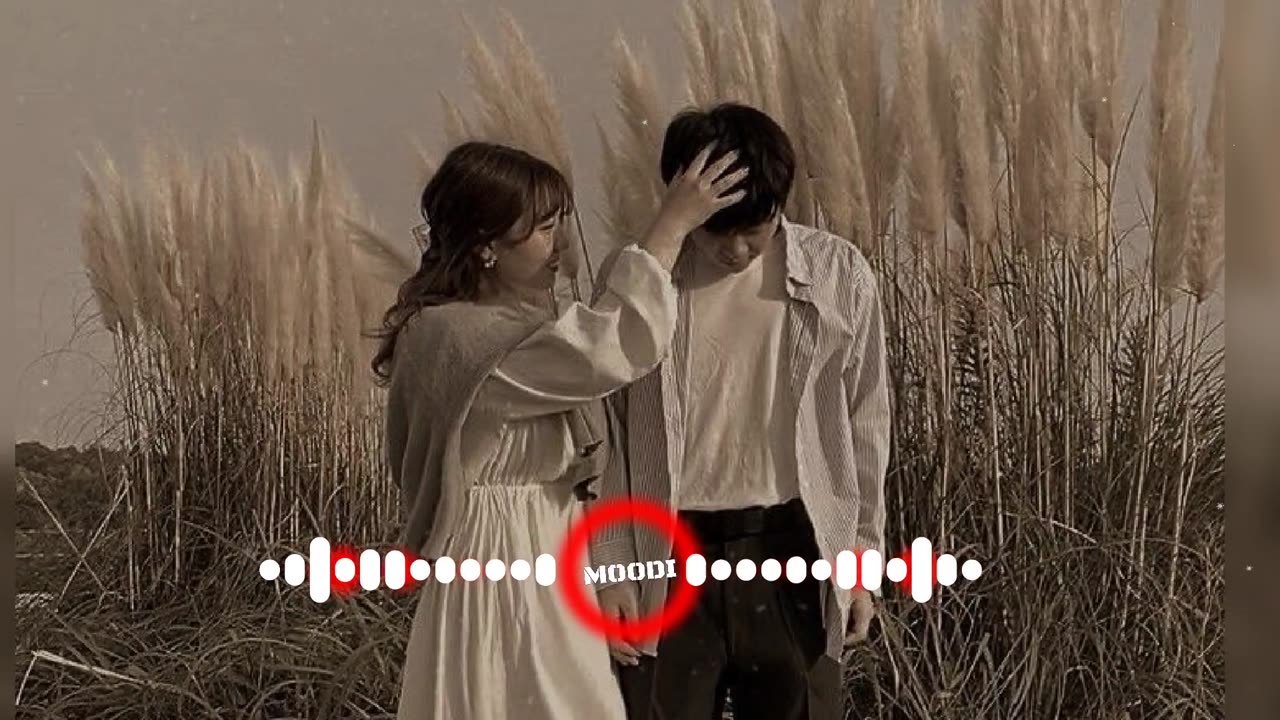 The whole world says "I love you" Song