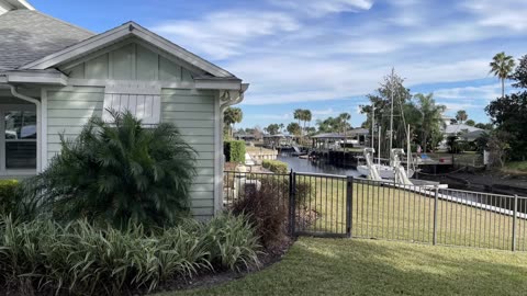 Blasian Babies DaDa & Blasian Babies Brother Scouting Waterfront Properties Using Acura TLX